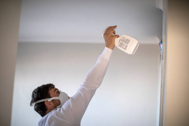 Best Preventive Mold Services in Jasonville, IN