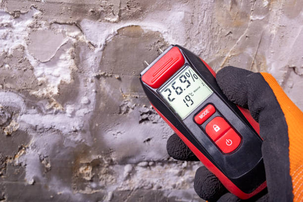 Best Attic Mold Remediation in Jasonville, IN